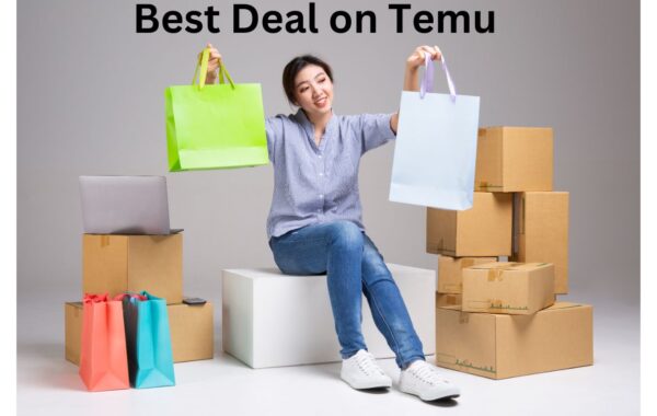 Secret of Temu's Lowest Price Deal